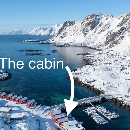 High Standard Ballstad