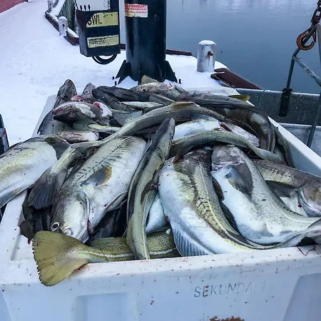 High Standard Feriehus